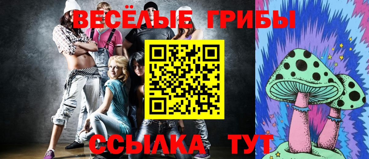Псилоцибиновые грибы Psilocybe  Вход с VPN  Псилоцибиновые грибы мицелий  Стрежевой 
